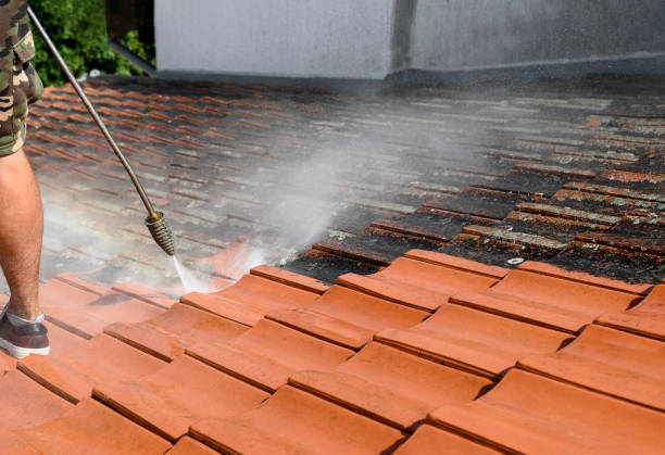 Best Local Pressure Washing Services  in Hastings, MI