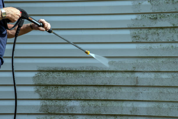 Best House Pressure Washing  in Hastings, MI