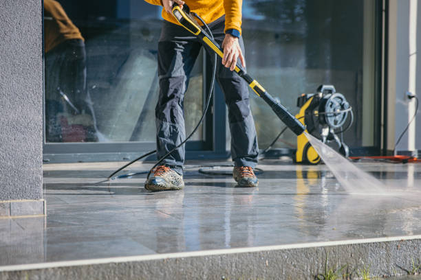 Best Roof Pressure Washing  in Hastings, MI