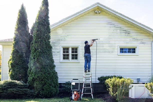 Best Fence Pressure Washing  in Hastings, MI